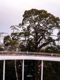 ชมวิวเมืองระนองจากมุมสูงที่ Sky Walk ระนอง