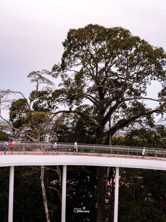 ชมวิวเมืองระนองจากมุมสูงที่ Sky Walk ระนอง