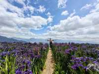 Blossom into Beauty at Northern Blossom Flower Farms