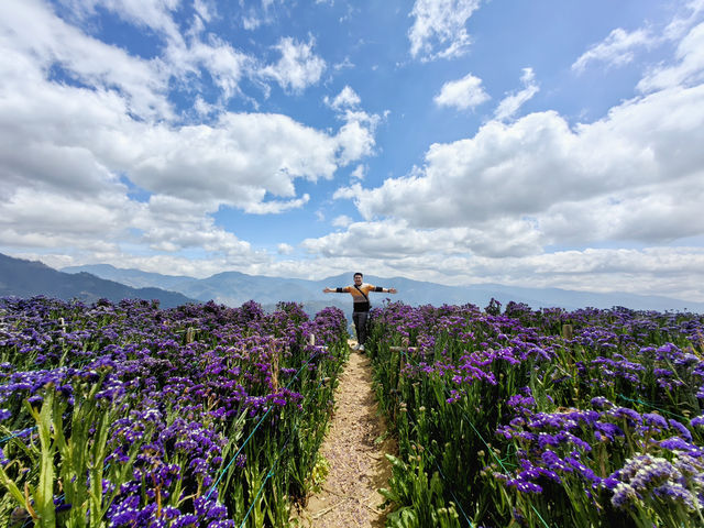 Blossom into Beauty at Northern Blossom Flower Farms
