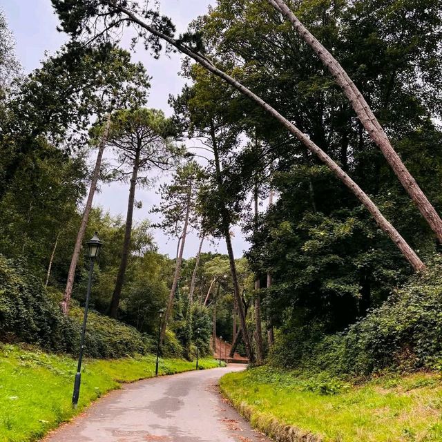 Boscombe Chine Gardens