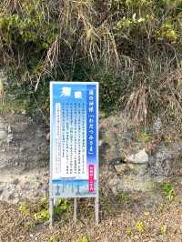【熊本県:天草】幻想的な姿が美しい永尾剱神社