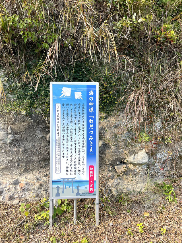 【熊本県:天草】幻想的な姿が美しい永尾剱神社