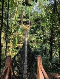 Escape to Nature: Hiking Bukit Gasing's Serene Trails