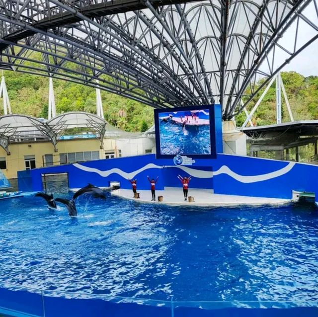 花蓮遠雄海洋公園特價中，超值！