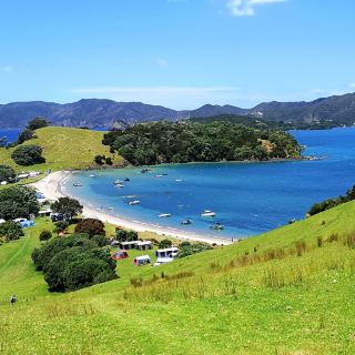 Welcoming 2025 in Paradise: Bay of Islands Magic