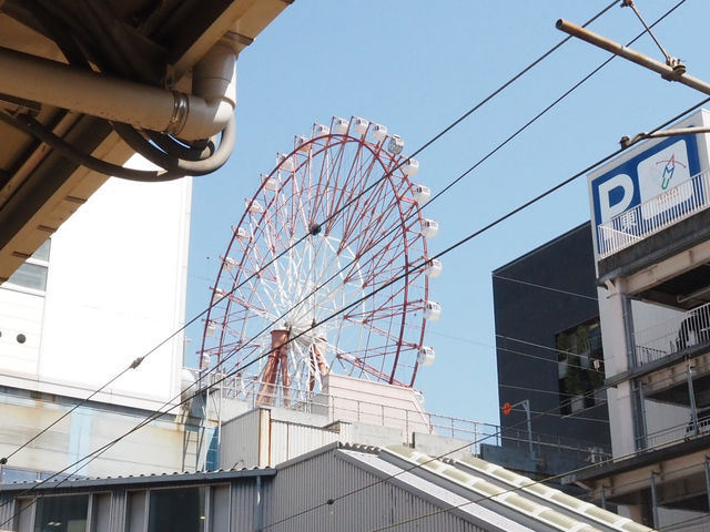 【鹿兒島1️⃣日遊：JR「指宿玉手箱」觀光列車 + 指宿沙浴初體驗🏖️ 】（上）
