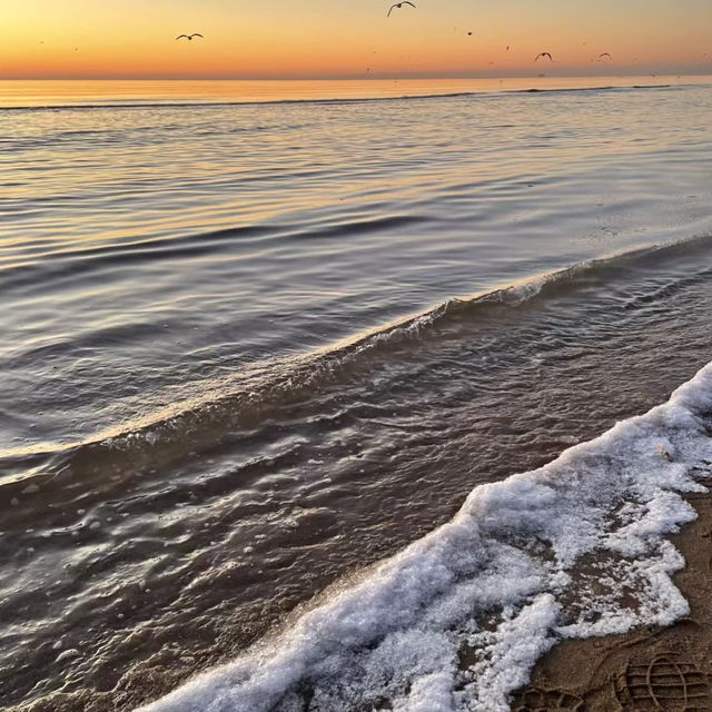 New year countdown in Aranya, Qinhuangdao 🇨🇳🌅 New year countdown in Aranya, Qinhuangdao 🇨🇳🌅
