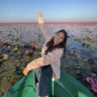 ทะเลบัวแดง - อุดรธานี