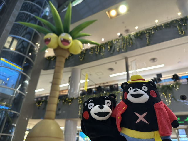 宮崎機場的椰蛋樹🌲與浪漫展望台🥰
