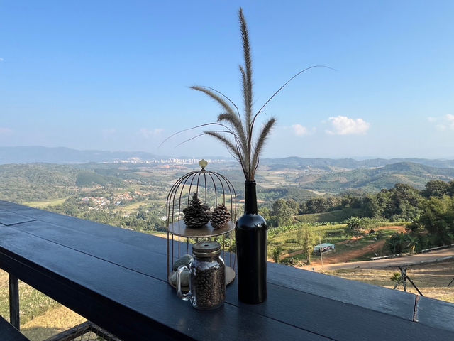 StardoiCoffee&Farmstay