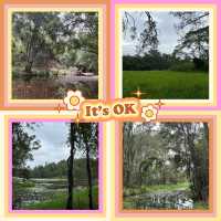 ～Ryton Pools Country Park～綠色世界～