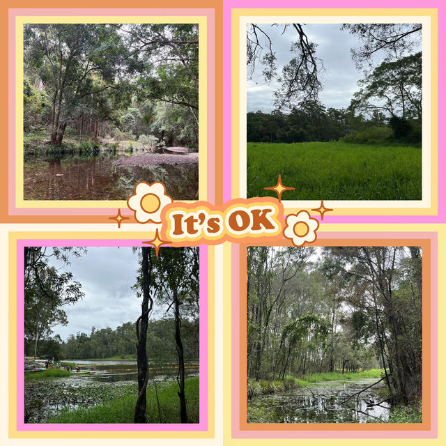 ～Ryton Pools Country Park～綠色世界～