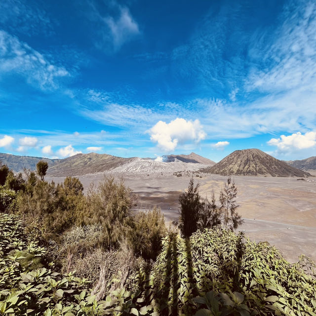 Bromo - the triumph of Wonder of the World 