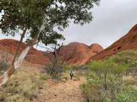 Valley of the Winds: A Kata Tjuta Adventure