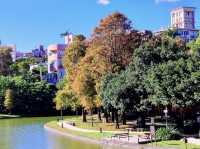 台北大湖公園-碧綠的湖水、豐富的生態環境、四周綠意盎然