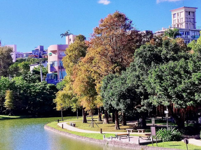 台北大湖公園-碧綠的湖水、豐富的生態環境、四周綠意盎然