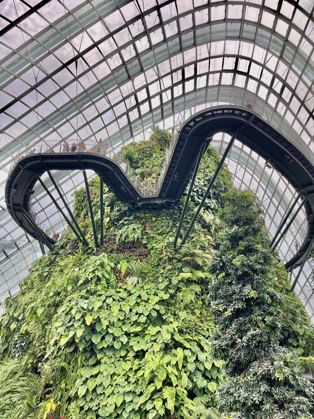 세계 최고의 온실 정원, 클라우드 포레스트🌱