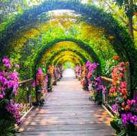 BEAUTIFUL PUTRAJAYA BOTANICAL GARDEN.