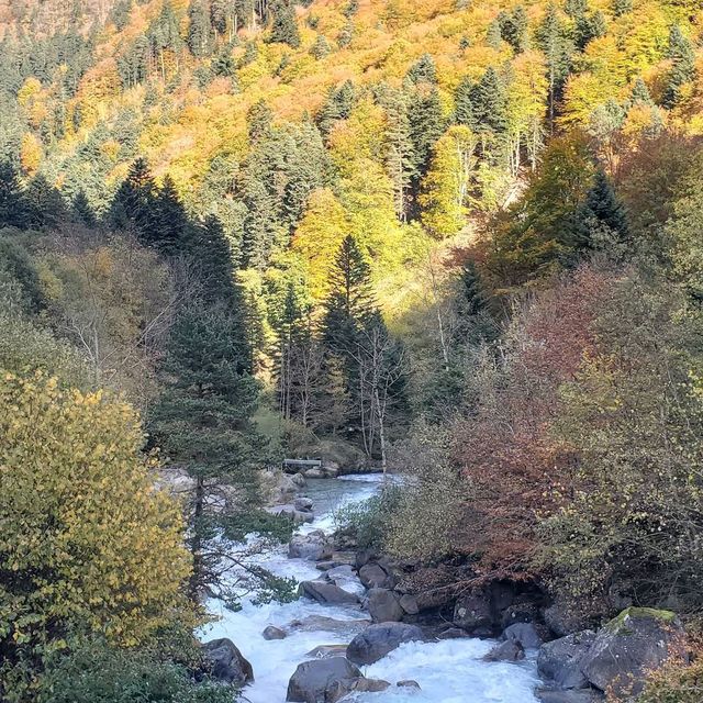 Pyrenees National Park