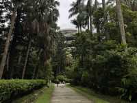 【台北旅行】無料で入れる臺北植物園が激アツ❤️‍🔥