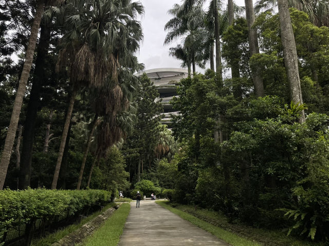 【台北旅行】無料で入れる臺北植物園が激アツ❤️‍🔥