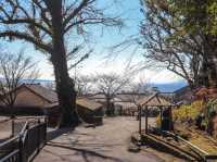 【鹿児島県】 雄大な桜島を一望できる借景庭園『仙巌園』