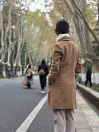 Beautiful Wutong Road in Nanjing
