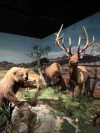 Spend a day exploring Shenzhen free museum