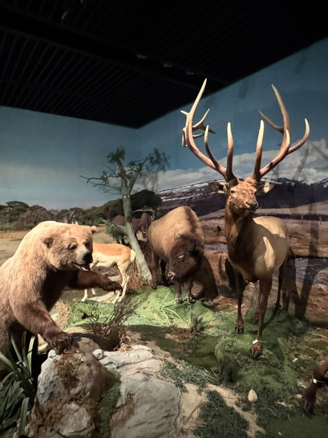 Spend a day exploring Shenzhen free museum