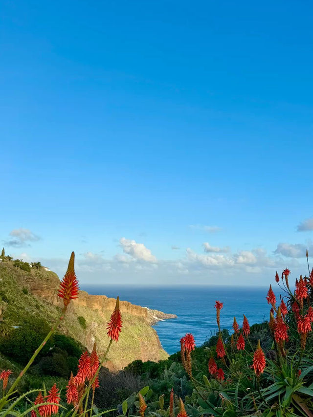 Madeira island 🏝️ 