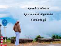 รับลมหนาว ตื่นเช้ามาดูหมอก ณ ผาหัวนาค