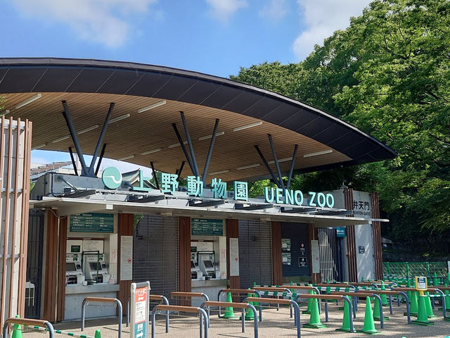 みんな大好き🤍【上野動物園】
