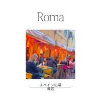 🇮🇹ローマに来たら絶対行きたい！トレビの泉⛲️✨