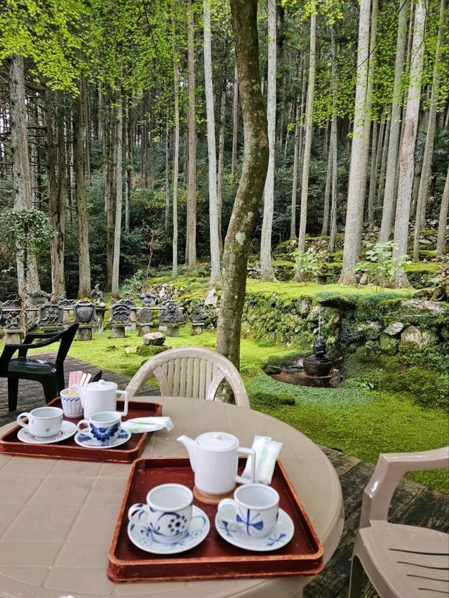 【入口を入れば、一面が苔でおおわれた癒しの世界が広がる】