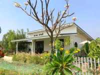 Hana Cafe ฮานะคาเฟ่ นางรอง บุรีรัมย์