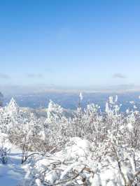 눈덮인 겨울 발왕산의 아름다운 설경❄️🤍