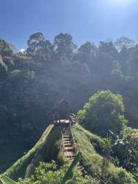 Tad Gneuang Waterfall : Paksong