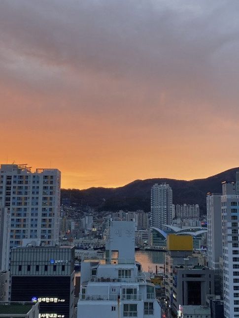 🏝️힐링하러 부산 영도로 떠나요~🌊