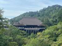 A Journey Through Time: A Perfect Kyoto Day Trip