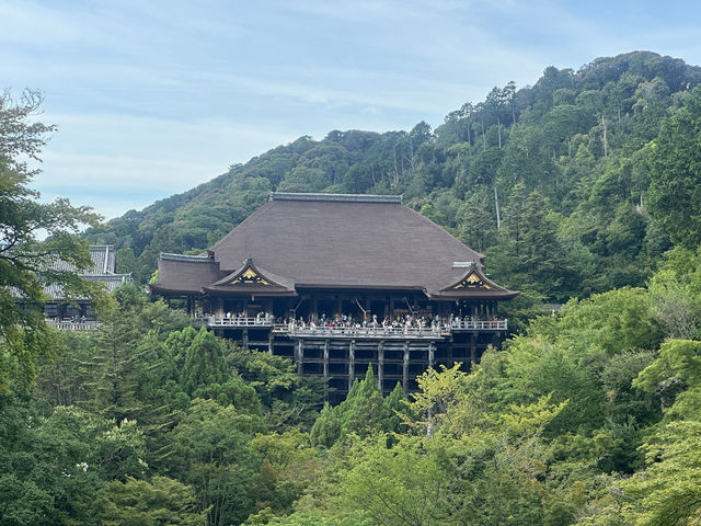 A Journey Through Time: A Perfect Kyoto Day Trip