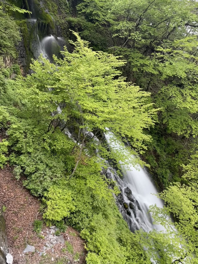 日光｜奧日光必訪華嚴瀑布 竟遇上水量不足奇景