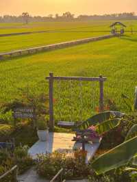 บ้านปายนา Baan-Pai-na