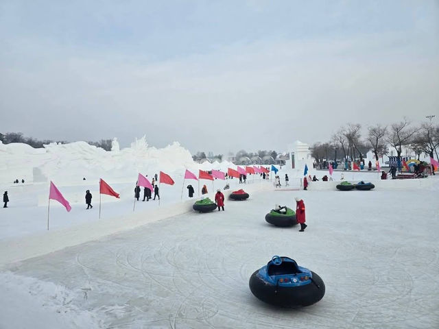 Sun Island Delight: Snow Sculptures and Winter Fun