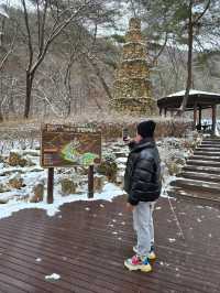 동남아에 눈이 온다면 이런 느낌일까🤍
