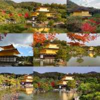 京都好去處