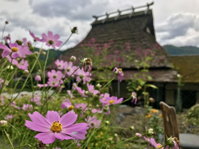 京都｜遺世獨立的美山町 京都小合掌村かやぶきの里