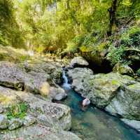 Nature’s Paradise at Springbrook National Park 🇦🇺