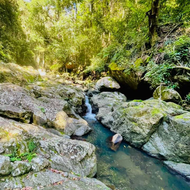 Nature’s Paradise at Springbrook National Park 🇦🇺