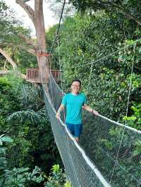 Discover Borneo Rainforest At Rasa Ria Reserve  